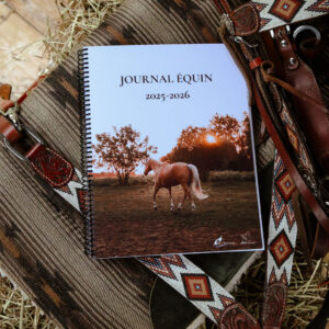 Journal standard - 12 mois