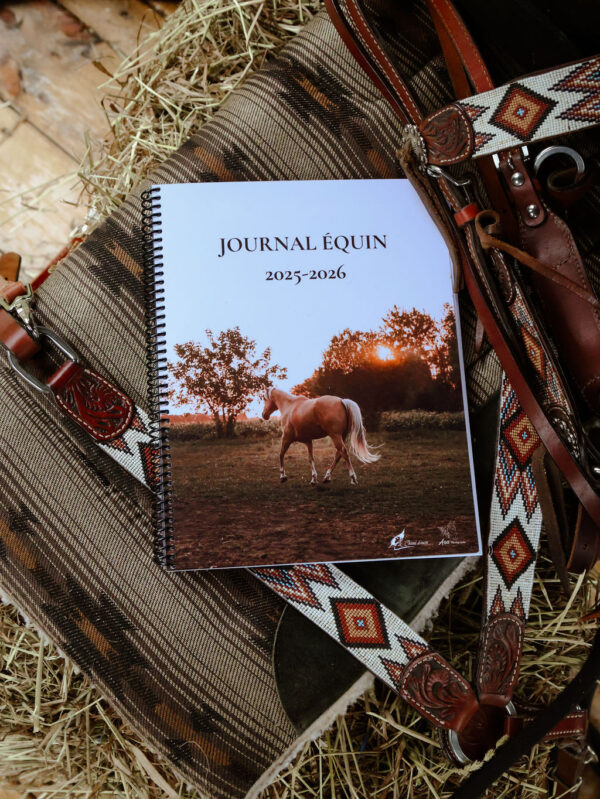 Journal standard - 12 mois